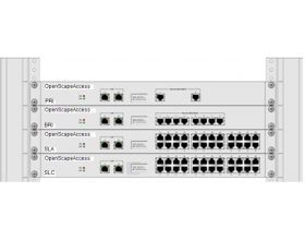 OpenScape 4000 Access