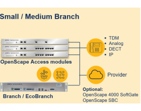 OpenScape 4000 Branch